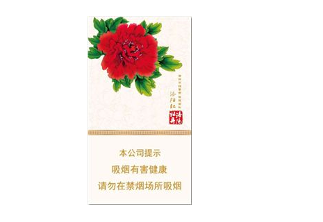 扁盒香烟批发价格表